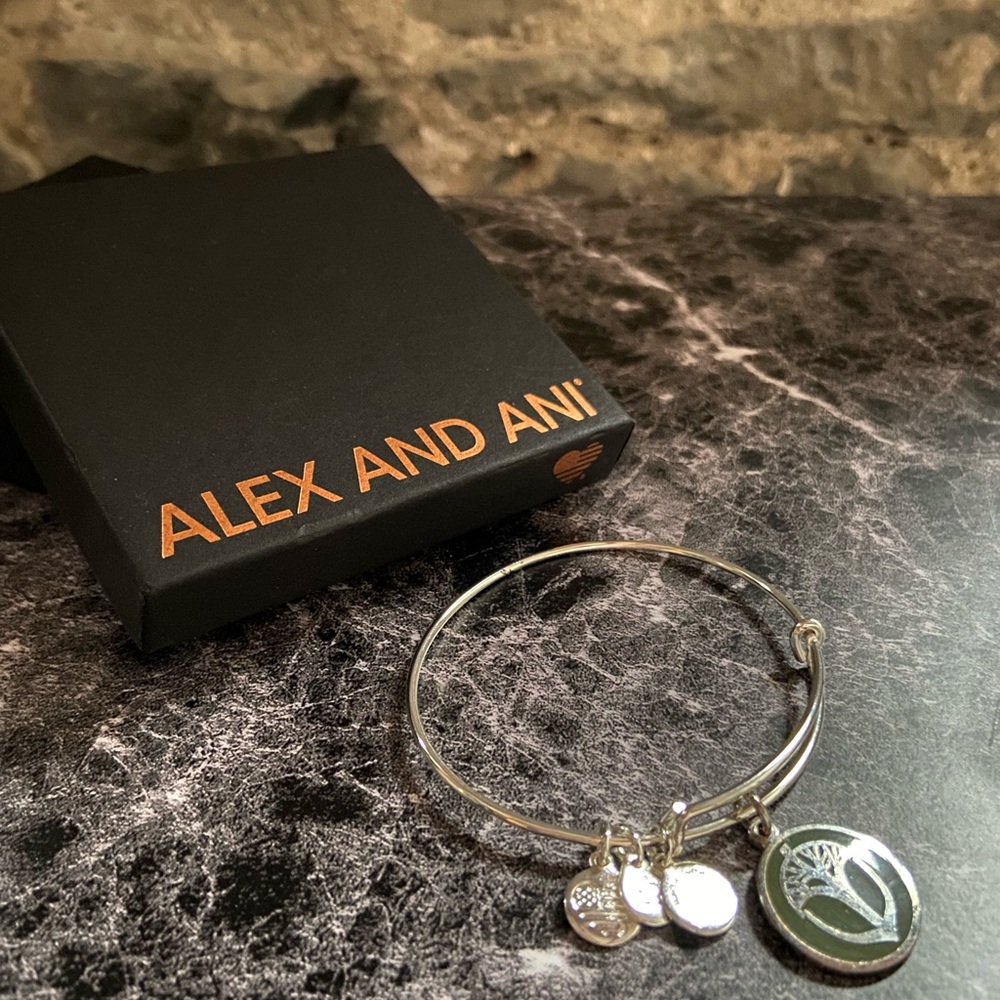 Alex and Ani silver earth tree of life bracelet